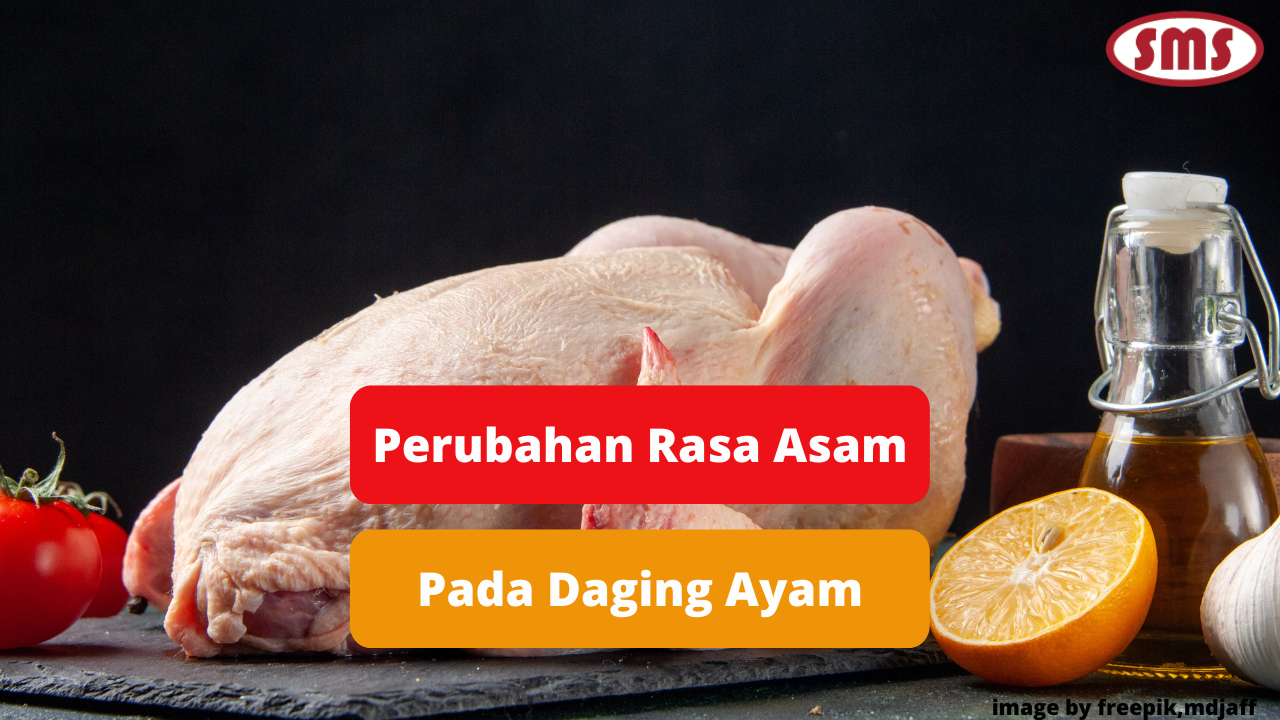 Berikut Ini Beberapa Penyebab Perubahan Daging Ayam Menjadi Asam